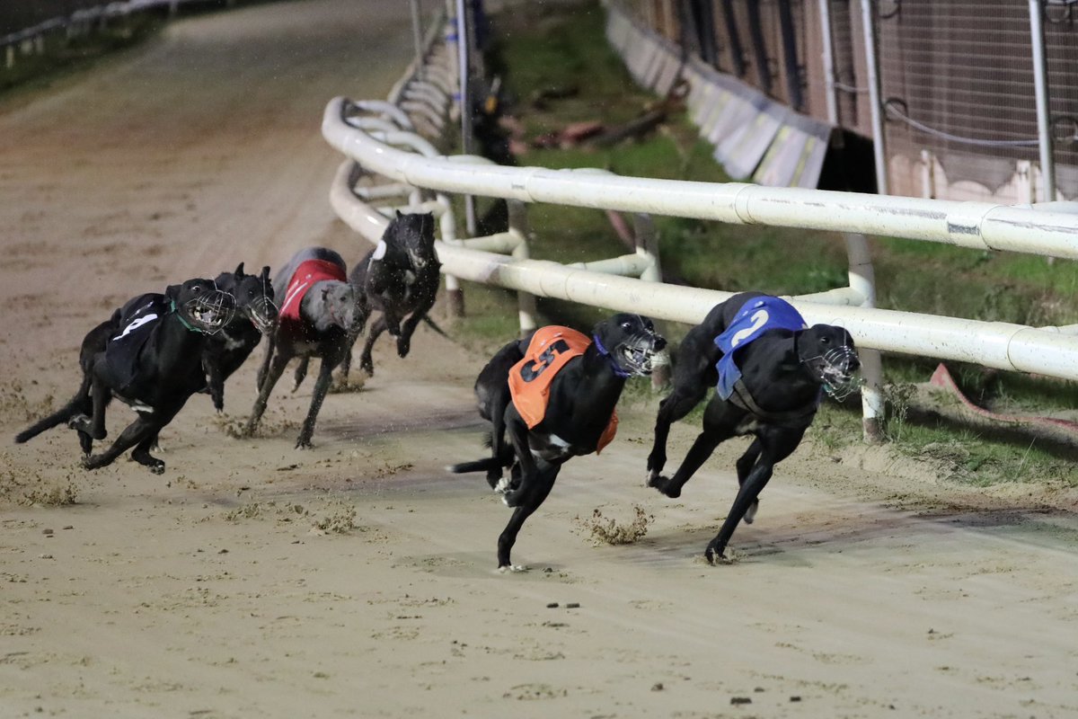 Tony Brealey tweet media