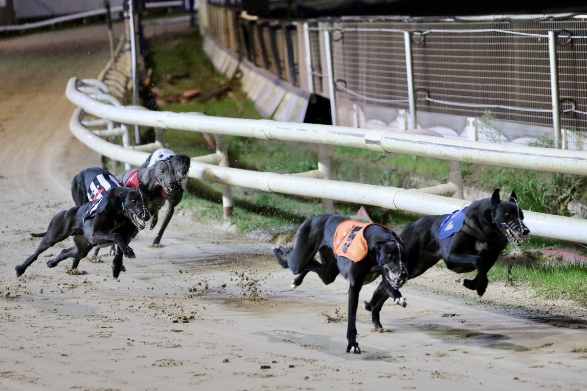 Tony Brealey tweet media