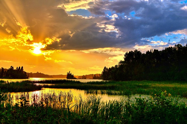 MsFoxysDotcom's tweet photo. Nature doesn’t hoard.
It shares. 🌿
Ecosystems cooperate — not compete.

Sometimes the Earth quietly shows us a better way.

Learn More on Foxy's Blogs👇
https://t.co/AsfCc4HMR6
#nature #life #earth #balance #foxysplace #sharing https://t.co/II7IbTCuOx