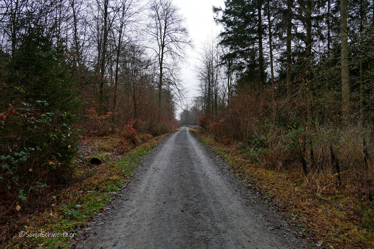 HessenSonja5767's tweet photo. Unterwegs auf der Bergmannsroute zwischen Niederbiel und Oberbiel ................................. #Solms #Niederbiel #Oberbiel #Bergmannsroute #wandern #Lahn #Lahntal #LahnDillKreis #Mittelhessen #Hessen #Germany https://t.co/h35gwKqo8V