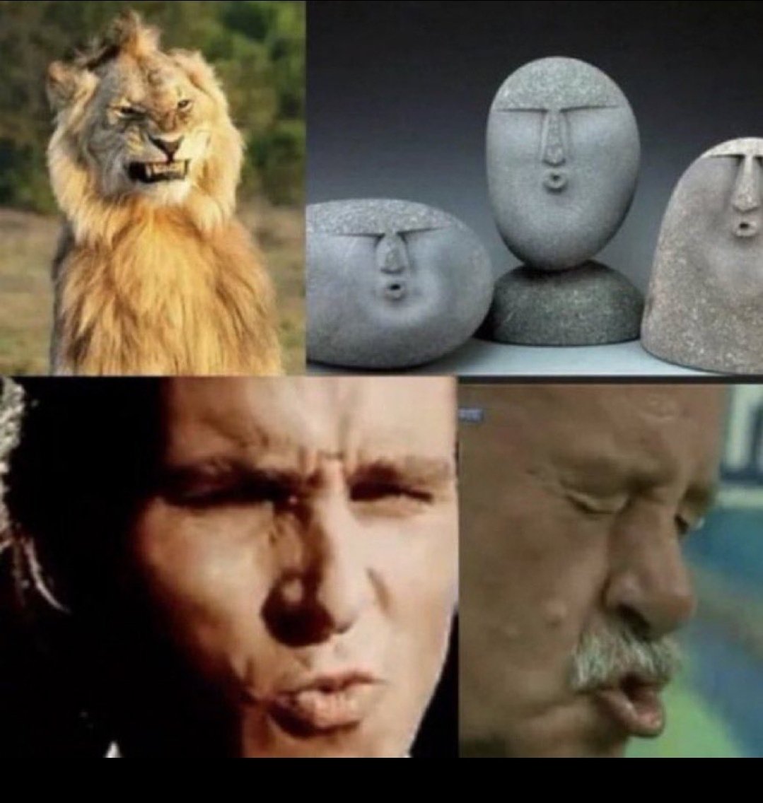 PlanetJDF's tweet image. Hello @SandyP4025 , I trust you are having an enjoyable Sunday.