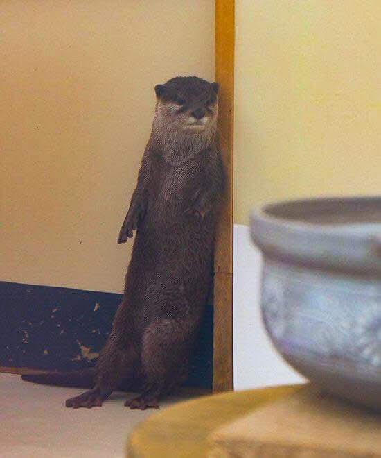 Anne in Texas tweet media