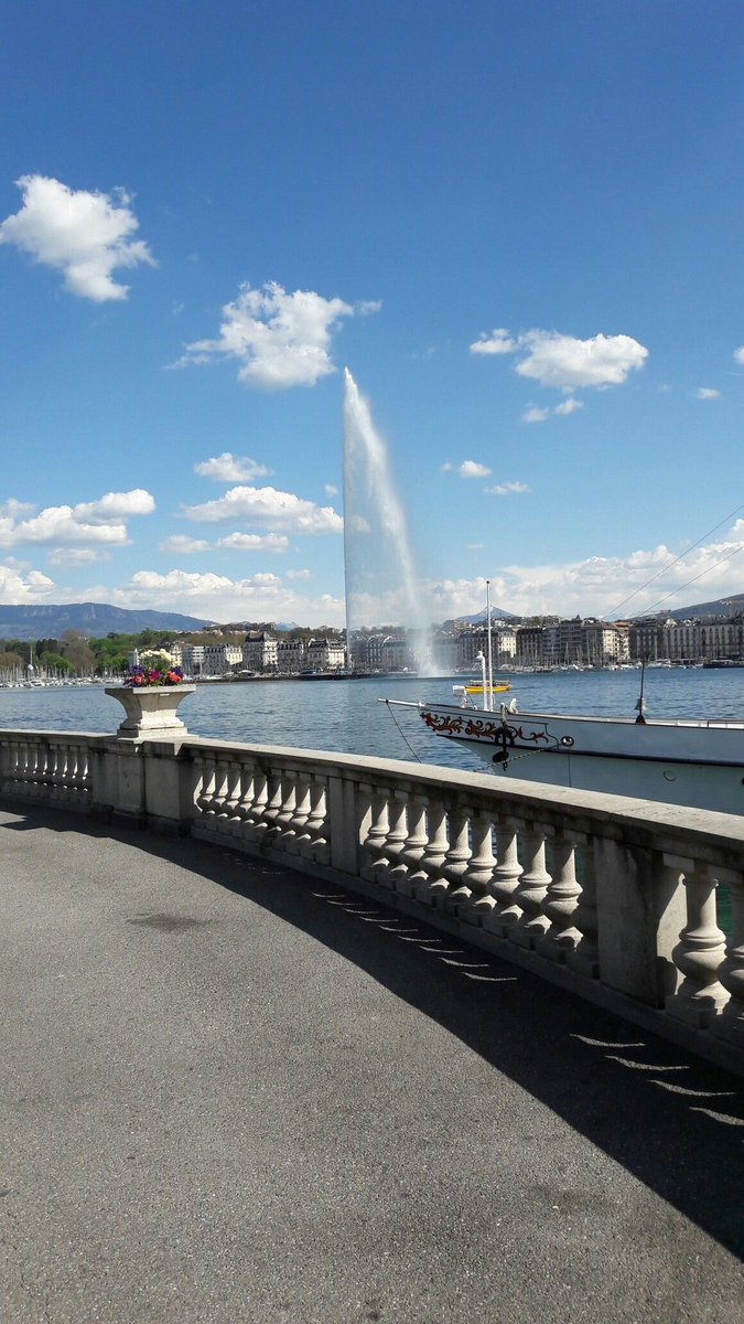 R o n a n tweet media