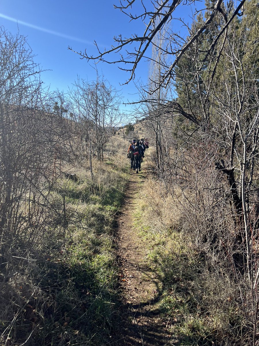 Bugün (Pazar) 100’ün üstünde doğaseverle  Bozkır–Ulupınar’da, Zengibar (Antik Isaura) kentinden başlayıp Yazdamı ve Tepearası köylerini kapsayan yaklaşık 14 km’lik keyifli bir doğa yürüyüşü gerçekleştirdik. 
#viaanatolia
#sedak
#suyukaynagindanicenler