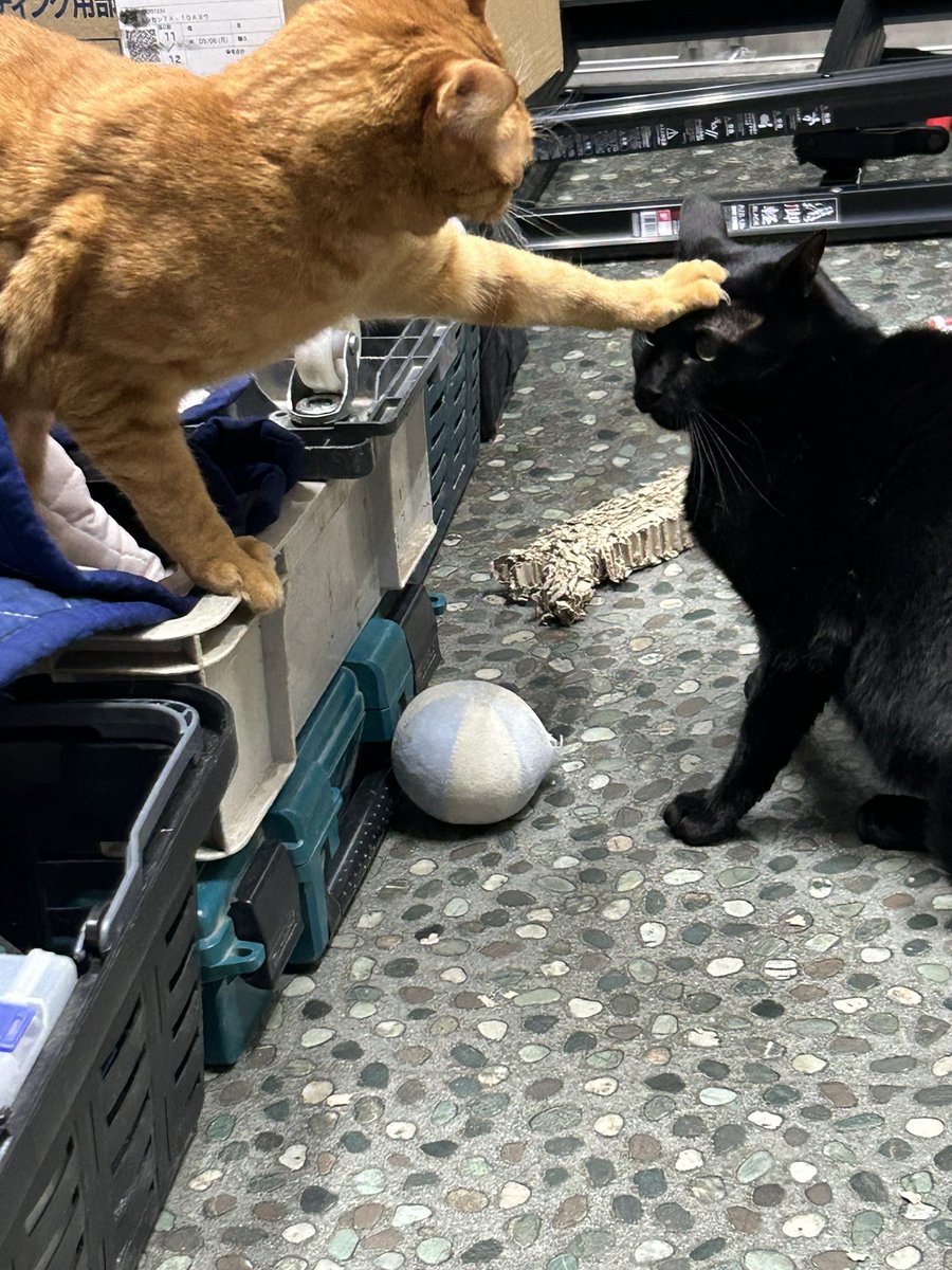 H I R O M I (@HIROMI66136439) / Posts / X