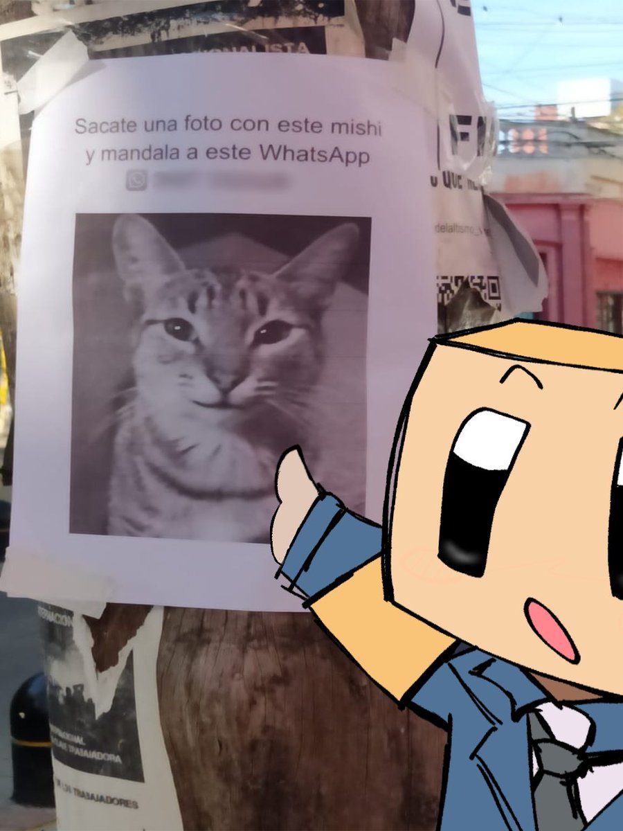 PreackyPoo's tweet photo. 📦💙 Estaba comprando como un día como cualquier otro, hasta que encontré un cartel de un michi pegado en la calle 😼

🎨/@ShAdoWVT016 https://t.co/8NaBQoLRyJ