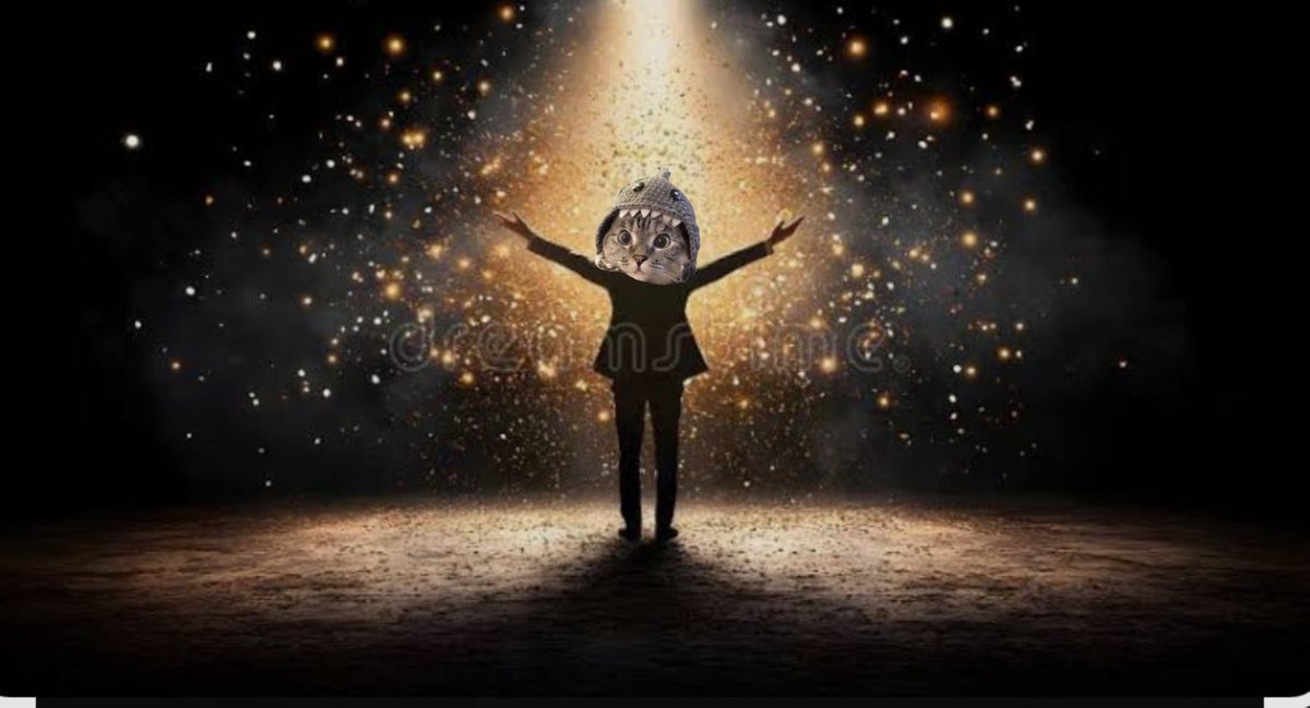 SharkCatSolana's tweet image. The show must go on 🦈😺 to the moon