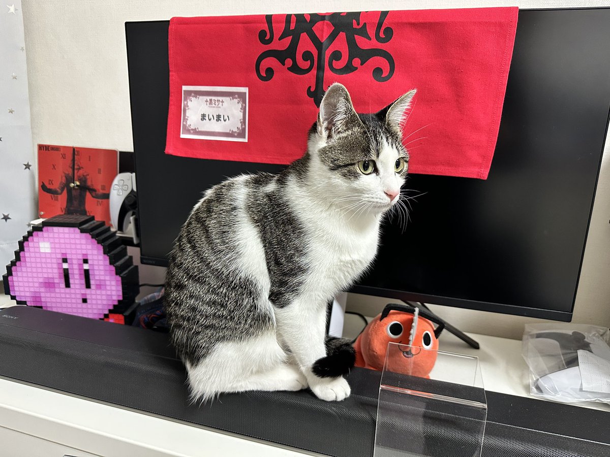 心はまだ富良野に 猫様も気に入ったようで #HYDE #富良野 #黑ミサ #黑