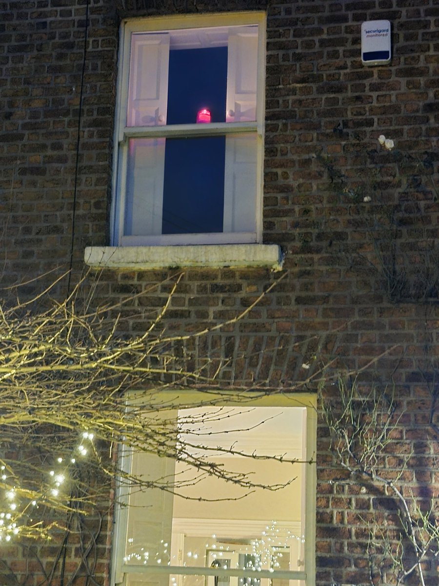 Dr Jane Mahony tweet media