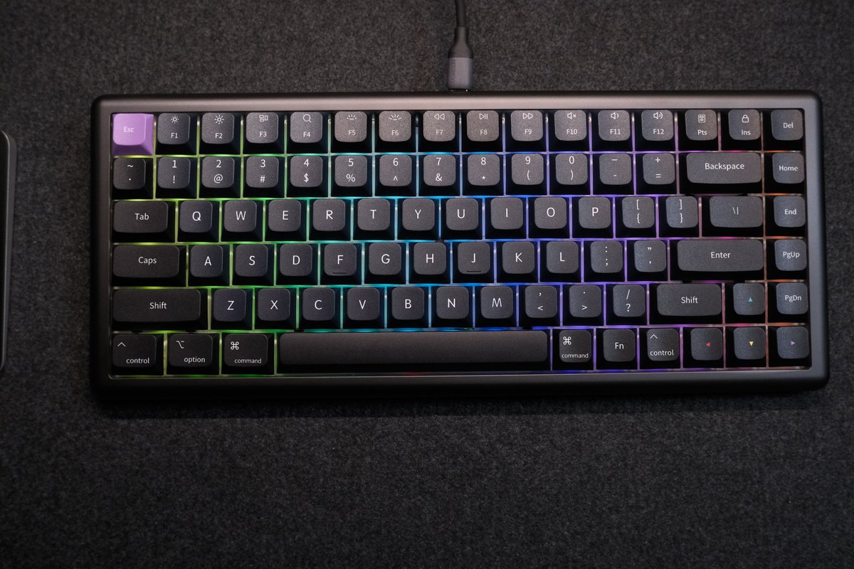 河村亮介 Ryosuke Kawamura (@Hottyhottea) / Posts / X