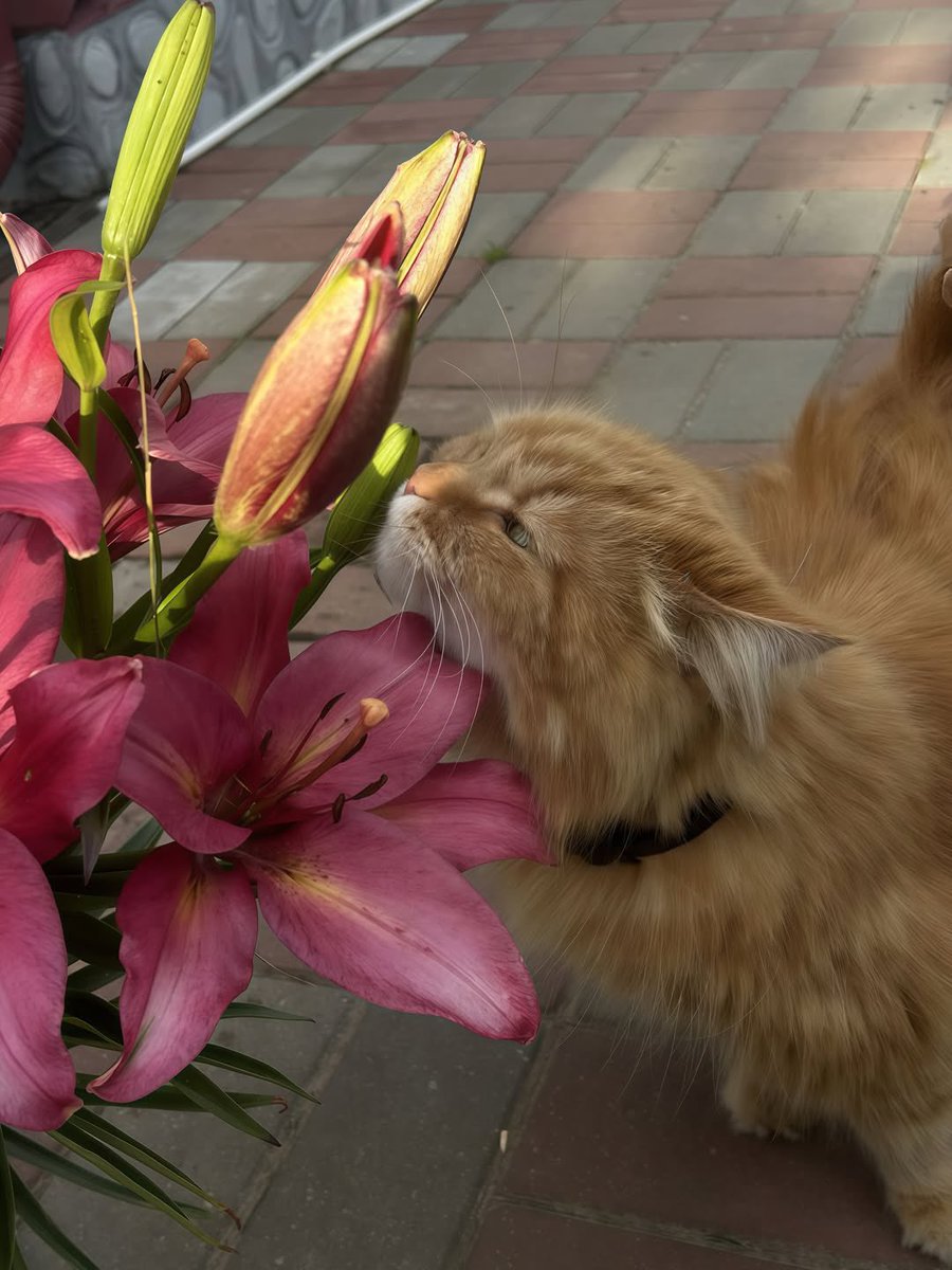 𝗟𝗲𝗲𝗻 (@1leio) on Twitter photo 