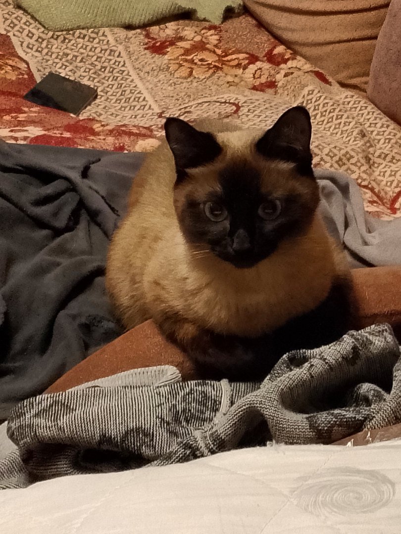 Kate George tweet media