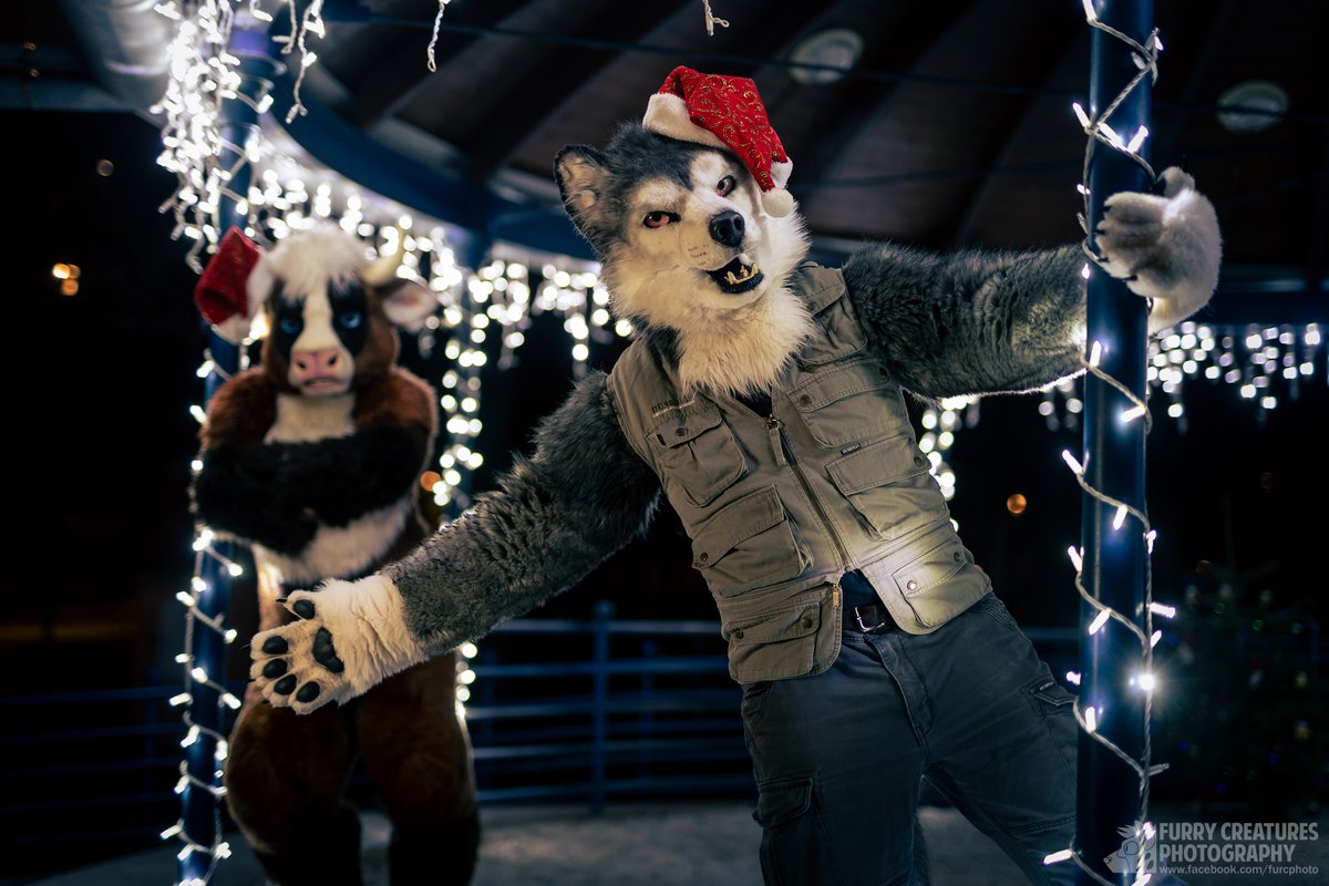 Tadaaah! Christmas mood!
Muu is grumpy, cus not in the center of attention.

🐾 Muu
✂️ <a href="/TheBeastcub/">TheBeastcub</a>
🐺 @Zenaku_wolf
✂️ <a href="/DireCreatures/">DireCreatures</a>