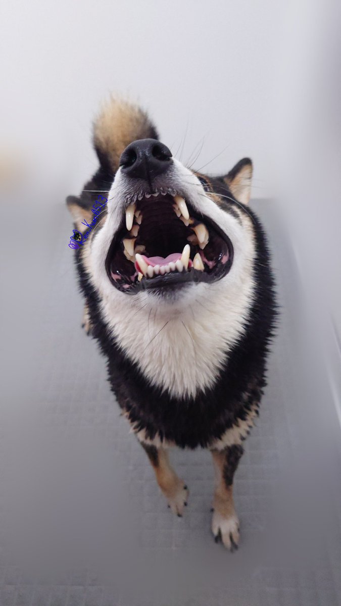 スマイル～～～