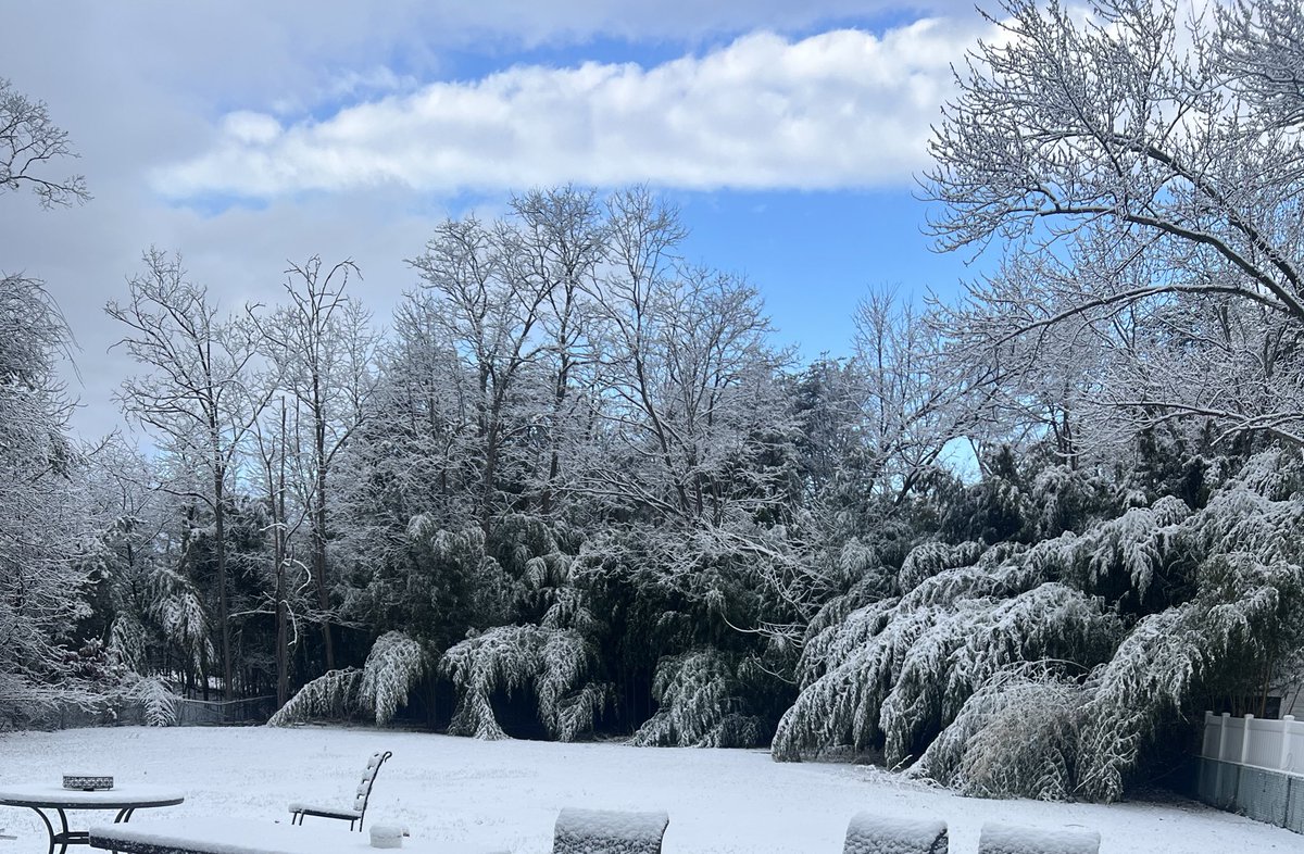 Snow day in Waldorf MD…❄️🌨️<a href="/TuckerFox5/">Tucker Barnes</a> <a href="/fox5dc/">FOX 5 DC</a>