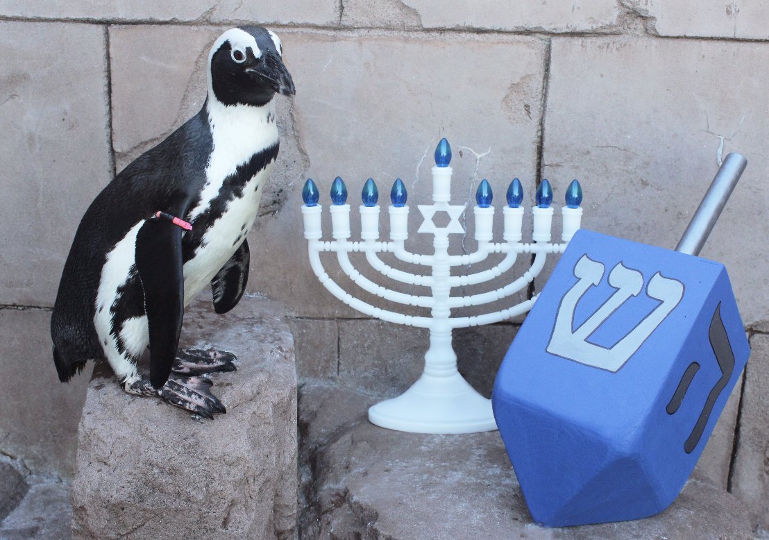 Happy First Night of Hanukkah! 🕎