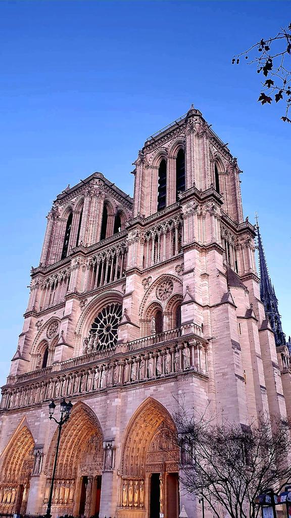 #GoodEveningX 🎄💫
En attendant la ❄️❄️❄️ : 
#my : 📸  
Notre-Dame de Paris 💕 🎄⭐️💫
#parisjetaime .
Bonne soirée sereine à tous 🎄⭐️💫💕