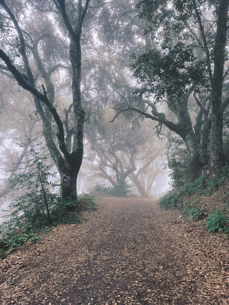 ellazhang516's tweet photo. Beautiful Sunday Bay Area hike + great news.
Congrats to Eric and the Zoom team on setting a new SOTA (48.1%) on the ultra-challenging HLE benchmark with Zoom’s Federated AI.
Multi-model orchestration via Z-Scorer > single-model scaling.
This is the new paradigm. 👍
#ZoomAI #FederatedAI #AI #HLE