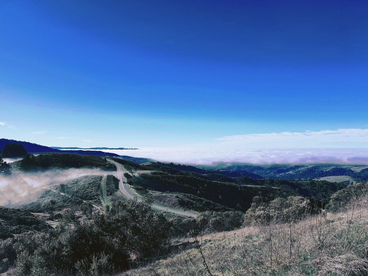 ellazhang516's tweet photo. Beautiful Sunday Bay Area hike + great news.
Congrats to Eric and the Zoom team on setting a new SOTA (48.1%) on the ultra-challenging HLE benchmark with Zoom’s Federated AI.
Multi-model orchestration via Z-Scorer > single-model scaling.
This is the new paradigm. 👍
#ZoomAI #FederatedAI #AI #HLE