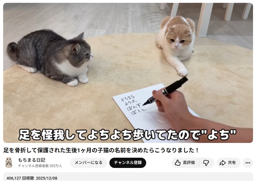 はなざくろ (@hana_zakulo) / Posts / X