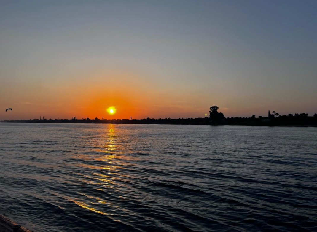 AdhamElsa3dy74 tweet media