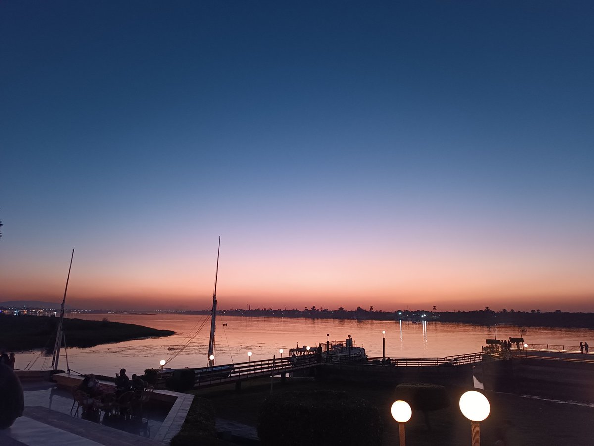 AdhamElsa3dy74 tweet media