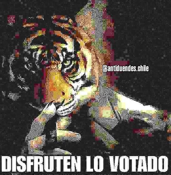 V1NCENZOO__'s tweet image. Cuando la vieja culia de la pintana me pida un número de rifa pa un tratamiento médico  #Eleccioneschile2025
