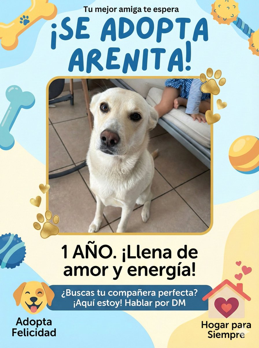 Se da en adopcion por temas personales no podemos darle una vivienda apropiada ahora #adopcion #regionmetropolitana #Santiago #Chile
