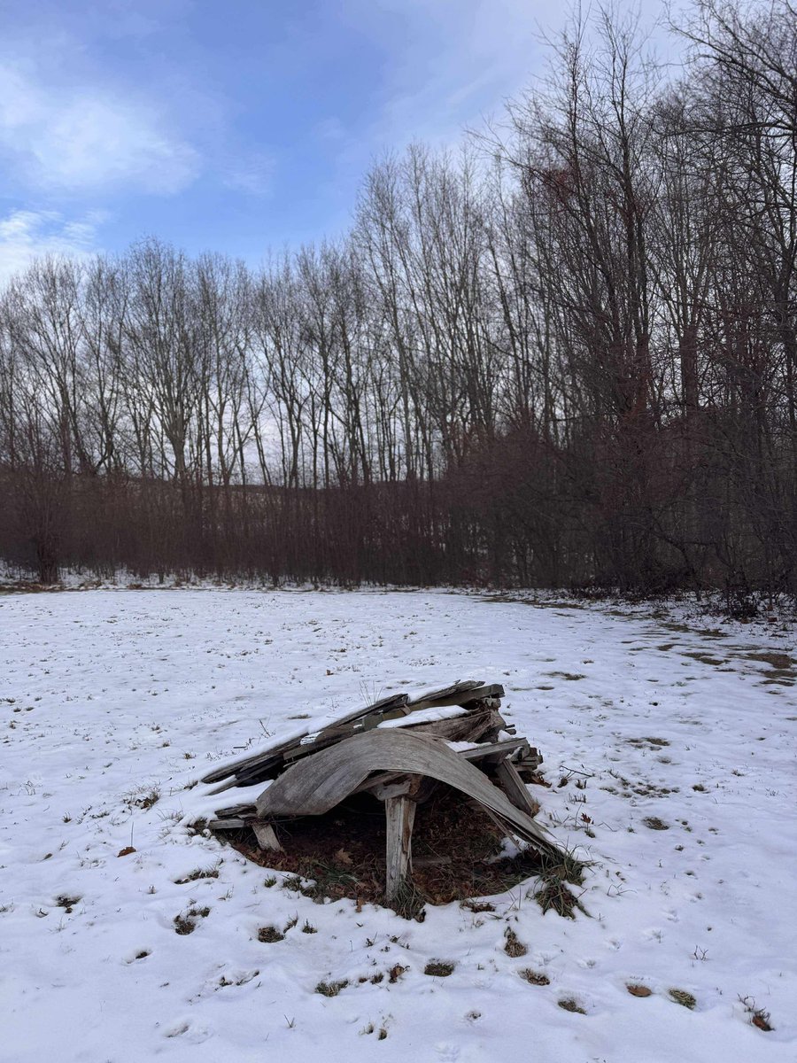 Ryuichi’s garden piano in snow ー December 2025. 

.

Photo by Todd Eckert

#skmtnews
#ryuichisakamoto 
#nature #piano