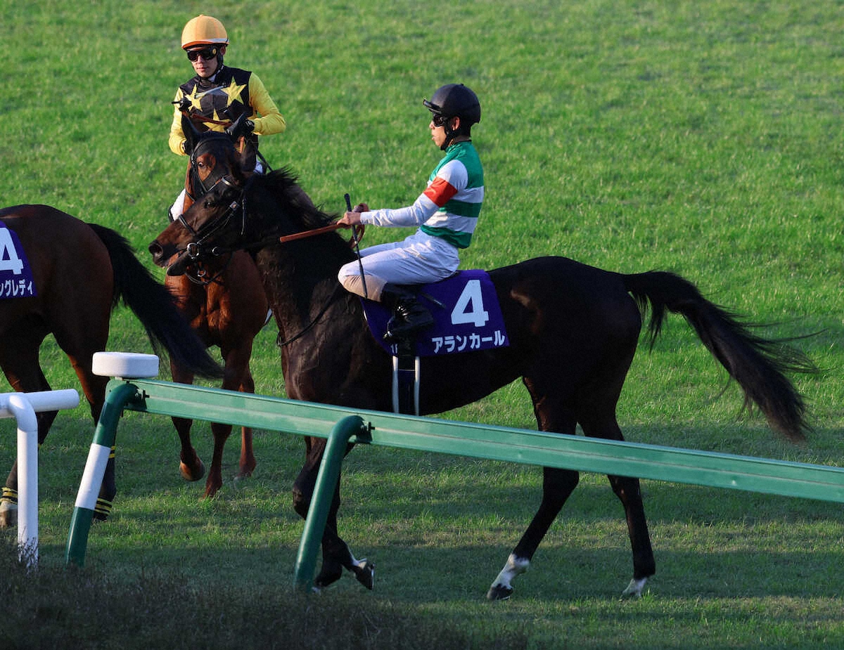 まさやん (@masayan0381989) / Posts / X