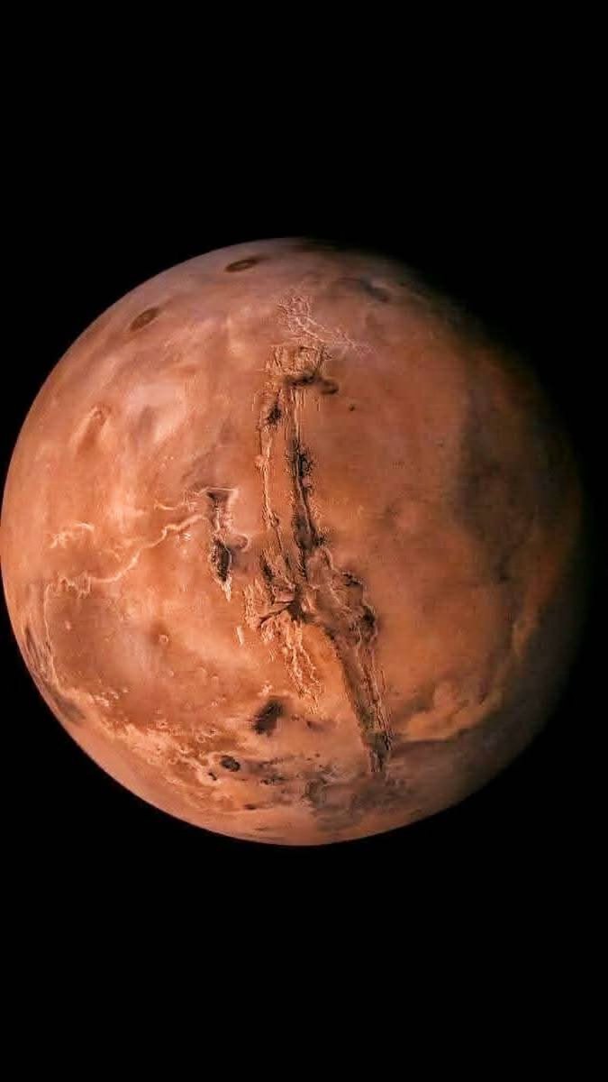 Tesla Owners Silicon Valley tweet media