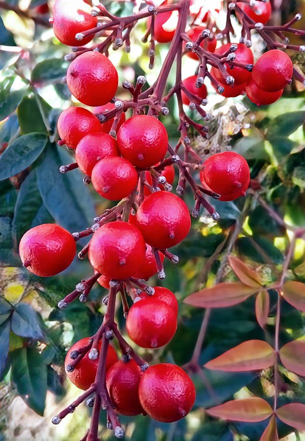 �\�[�V�����}�K�W���w�R�X���f�B�A�h�b�g�R��!!�x:�ŐV���𐏎��X�V��!!