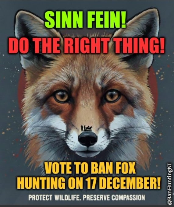 Anti Hunting NI #TeamFoxNI 🇺🇦 tweet media