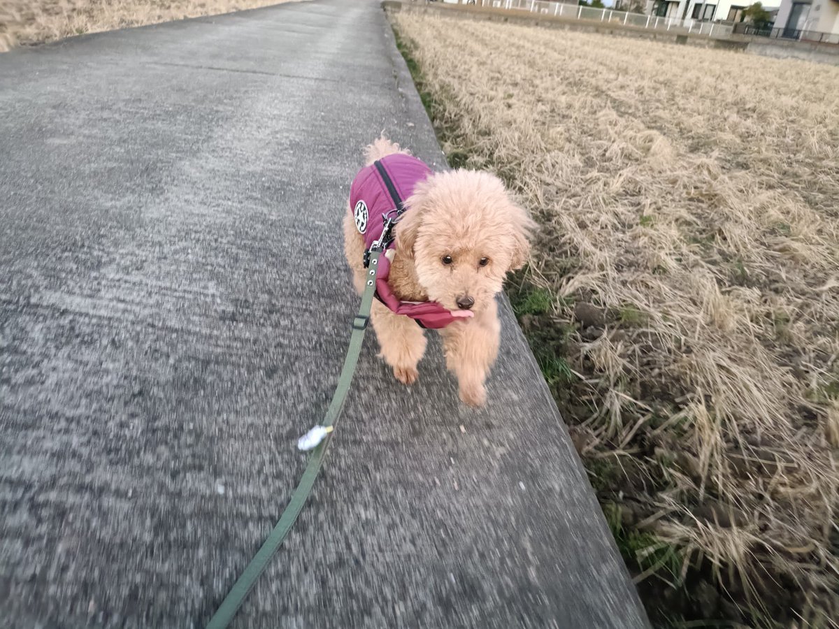 訳有り大幅値下❗存在感の有るこだわりのサンタさん＊プロフ必読願います 訳有り大幅値下❗存在感の有るこだわりのサンタクロース＊プロフ必読