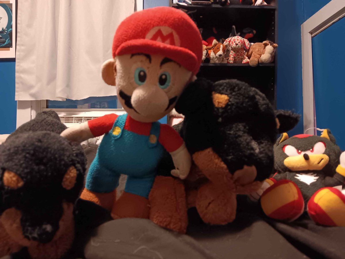 ShadowGohan7's tweet image. Stuffed Animals Worlds2025 Round 3 - Chip vs Mario twitch.tv/kage_wolf7