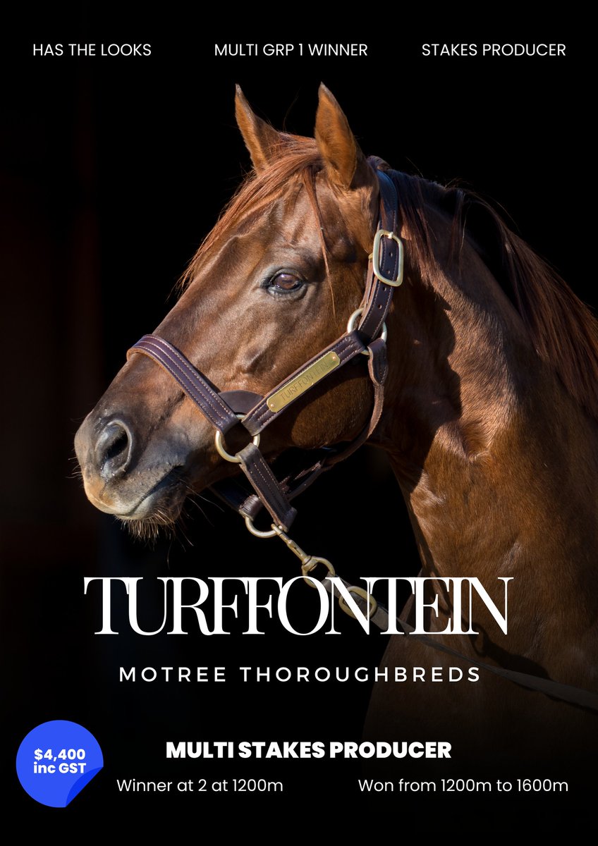 Skin In The Game looks a serious talent for <a href="/MotreeTasmania/">Motree Thoroughbreds</a>  Turffontein — now 5 wins from 7 after another strong Hobart showing. The stallion has two colts heading to the <a href="/mmsnippets/">Magic Millions</a> Tas sale on Feb 23.
<a href="/BreedersTas/">Tasbreeders</a> <a href="/TasracingAus/">Tasracing Australia</a> <a href="/FellaMcShane/">Brendan McShane</a> <a href="/Harry_Mcshane07/">Harry Mcshane</a>