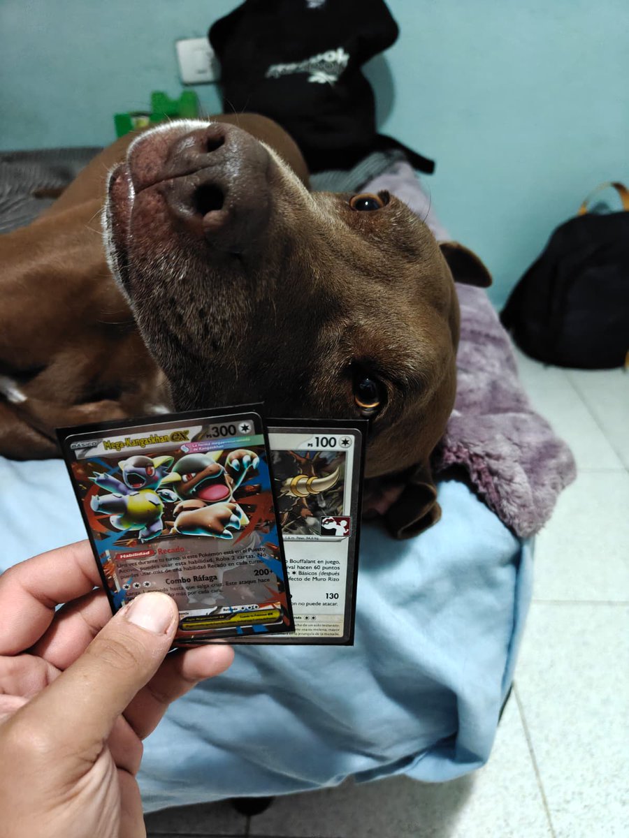 DannyMartinHdz's tweet image. Gano el último Cup del año de Cómic Revolution con Mega Kangaskhan Bouffalant! Mil gracias a @betancort_tcg por la pedazo de final que me ha dado, y mil gracias a @Gabrixa18 por enseñarme este pedazo de deck, y darme tantos consejos y tanto apoyo 🫶