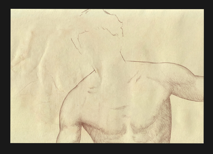 Sora474087's tweet photo. random sketch practice 

#sketch #digitalart #body #study #practice https://t.co/w1i6Kl9v7A