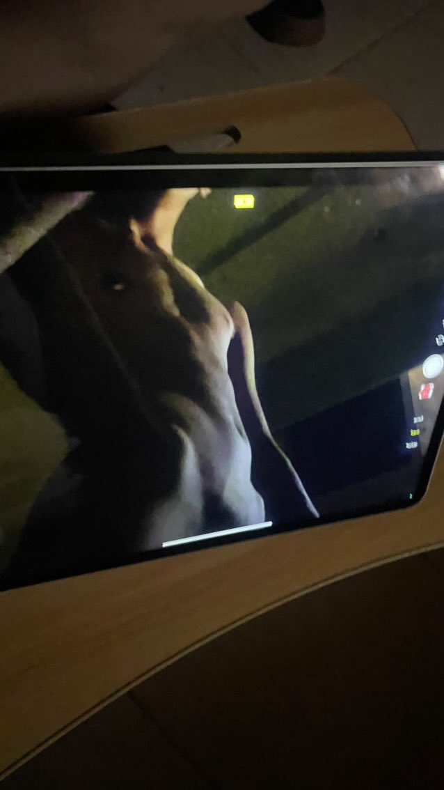 كتبي فحل ؟ تعال