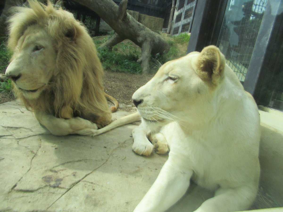 誰かのサブ垢 (@kVWsa4sNlzZr1KK) / Posts / X