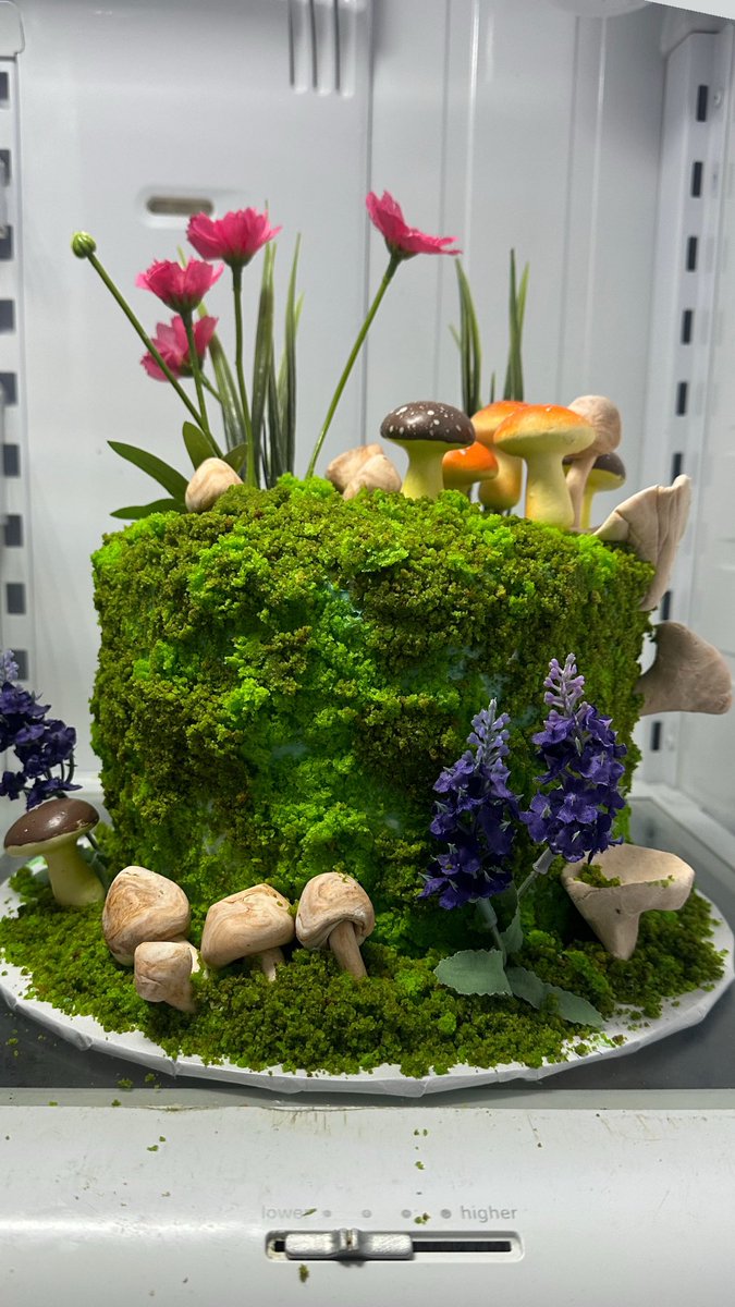 transnymphodite's tweet image. bday cake ^_^🍄‍🟫🍄‍🟫🍄‍🟫🍄‍🟫