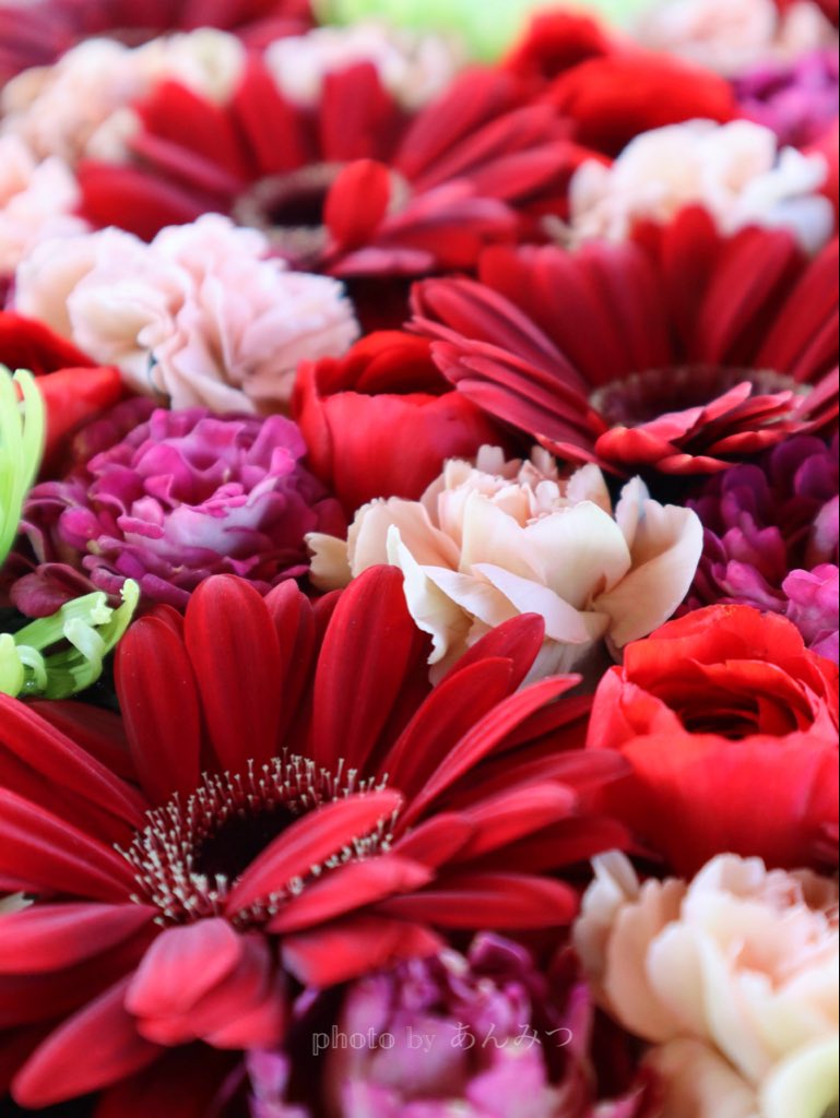 ☆あんみつ☆ (@BiDwVv7B2Uh5VYR) / Posts / X