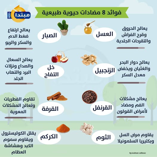 فوائد 8 مضادات حيوية طبيعية أبرزها العسل والزنجبيل 