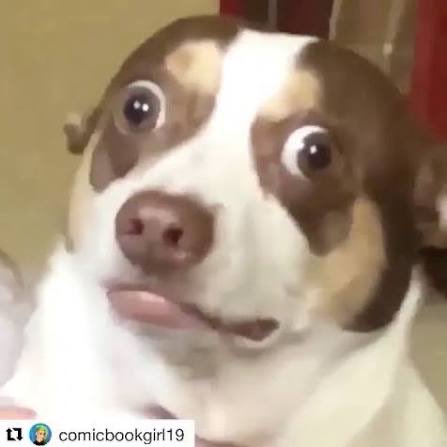 EmmeBinks's tweet photo. there’s no way the pens lose a big lead in the third period again haha right guys https://t.co/X7XbXjPQE4
