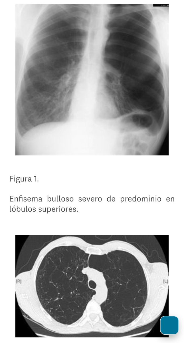 PetaStrojen ✝️✡️☦️ tweet media