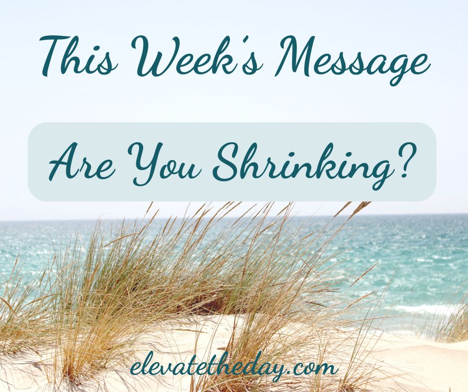 This week, I'm talking about how God can be building you up even when it feels like parts of your life are shrinking.  If you need a reminder that He’s always working behind the scenes, this is for you.
lnkd.in/er44mbVj