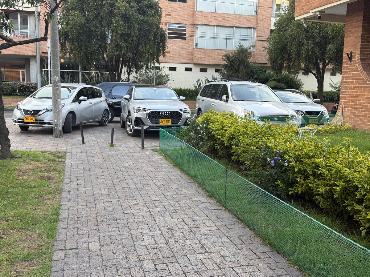 Analucia Zarama tweet media