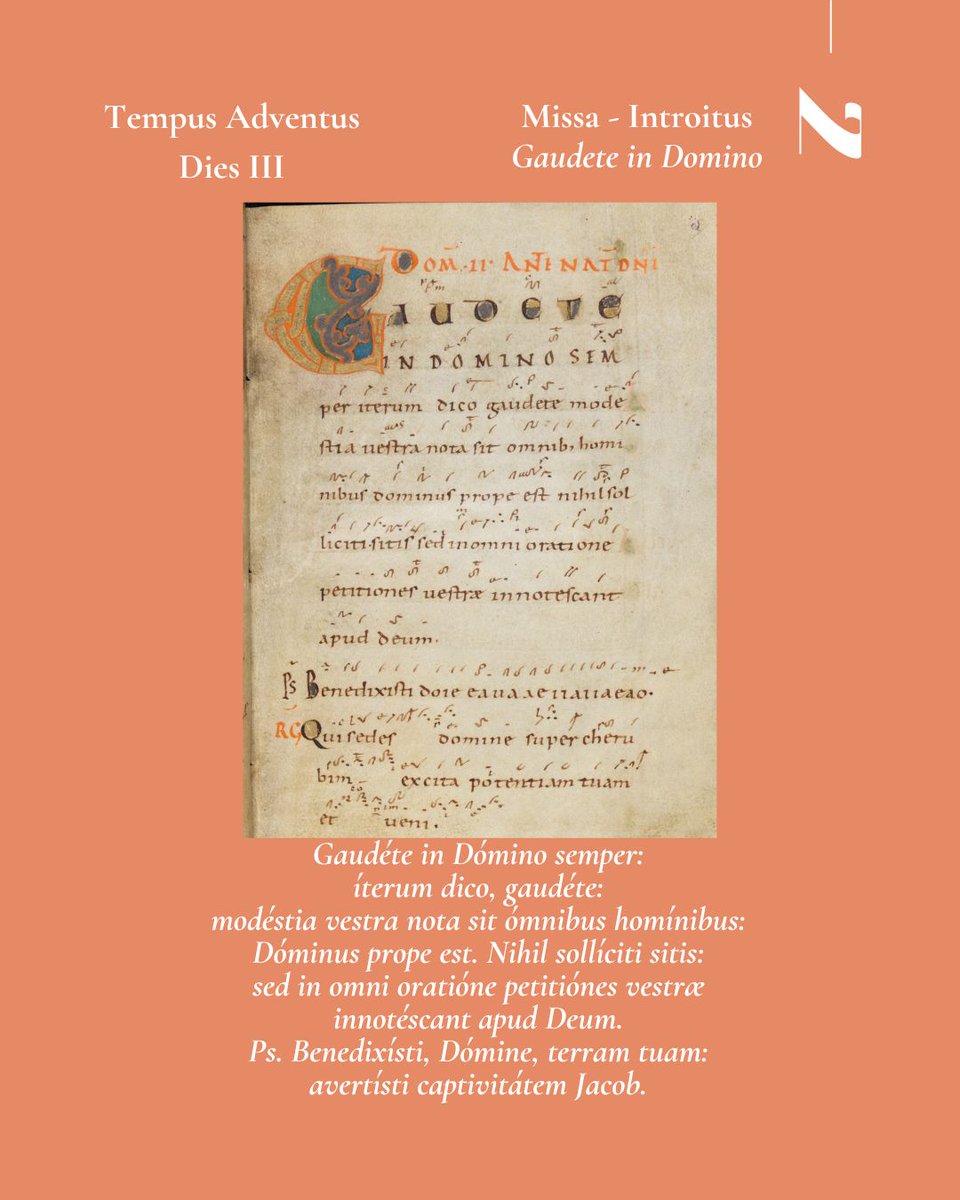 Neumz 🎶 tweet media