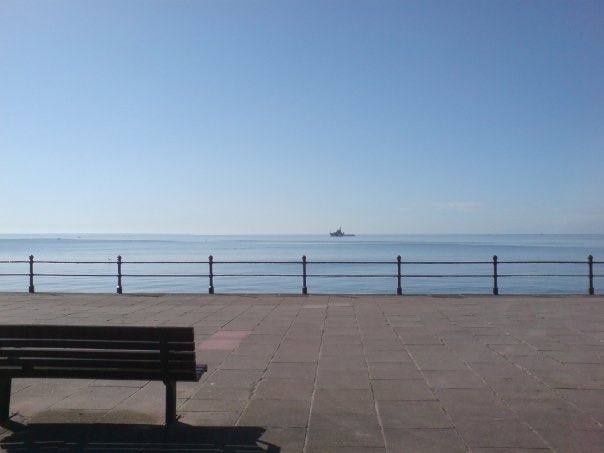 TonyFeroni's tweet image. Random photo pics from my phone