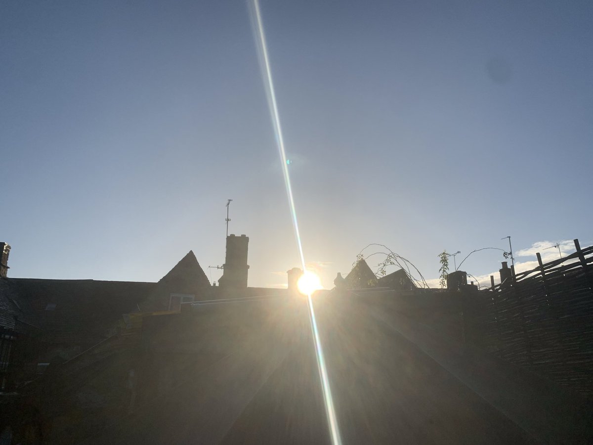 TonyFeroni's tweet image. Random photo pics from my phone